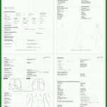 Faszinieren Anamnesebogen Vorlage 744x1052