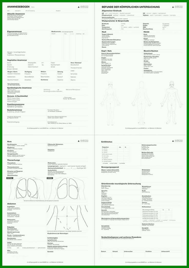 Faszinieren Anamnesebogen Vorlage 744x1052