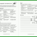 Schockierend Fahrzeug Checkliste Vorlage 800x600