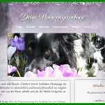 Tolle Hunde Homepage Vorlagen 800x495