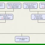 Wunderschönen Vorlage Familienstammbaum 988x332