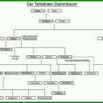 Unglaublich Stammbaum Vorlage 1137x768