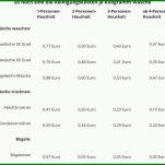 Einzahl Steuererklärung Vorlage 2017 1240x1083