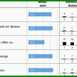 Überraschend Fragebogen Vorlage Excel 709x502