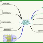 Fantastisch Mindmap Vorlage 982x564