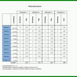 Spezialisiert Nutzwertanalyse Vorlage 960x720