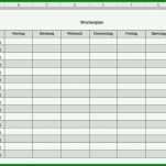 Phänomenal Dienstplan Vorlage Pflege 1058x729