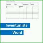 Limitierte Auflage Inventarliste Vorlage 1000x1000