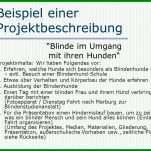 Selten Projektbeschreibung Vorlage 960x720