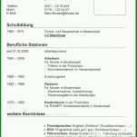 Faszinierend Openoffice Lebenslauf Vorlage 736x1180