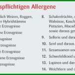 Angepasst Allergenliste Vorlage 1456x552