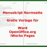 Unglaublich Buch Manuskript Vorlage 934x663