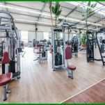 Außergewöhnlich Einverständniserklärung Fitnessstudio Probetraining Vorlage 800x500