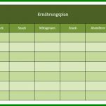 Schockierend Ernährungsplan Erstellen Vorlage 900x549