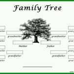 Spezialisiert Stammbaum Vorlage Mit Geschwistern 1024x553