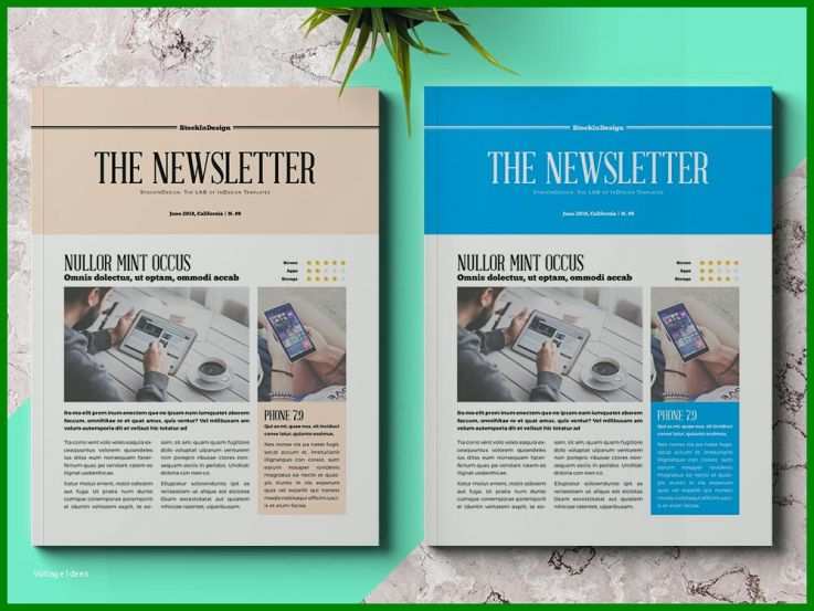 Spezialisiert Newsletter Vorlage Indesign 1000x750