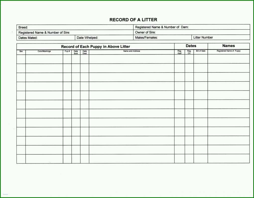 Atemberaubend Schichtplan Excel Vorlage 3 Schichten 3135x2448