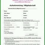 Großartig Kündigung Fitnessstudio Vorlage Pdf 794x1123