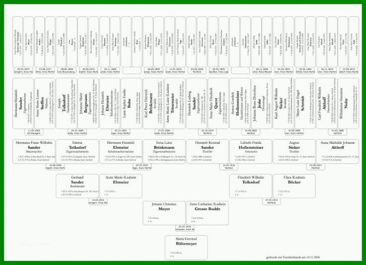 Wunderbar Stammbaum Vorlage Pdf 800x579