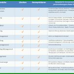 Am Beliebtesten Datenschutzmanagementsystem Vorlage 1018x736