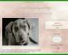 Bestbewertet Hunde Homepage Vorlagen 800x495