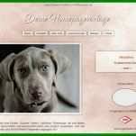 Bestbewertet Hunde Homepage Vorlagen 800x495