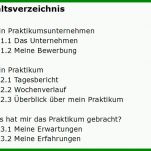 Modisch Praktikumsbericht Elektrotechnik Vorlage 750x560