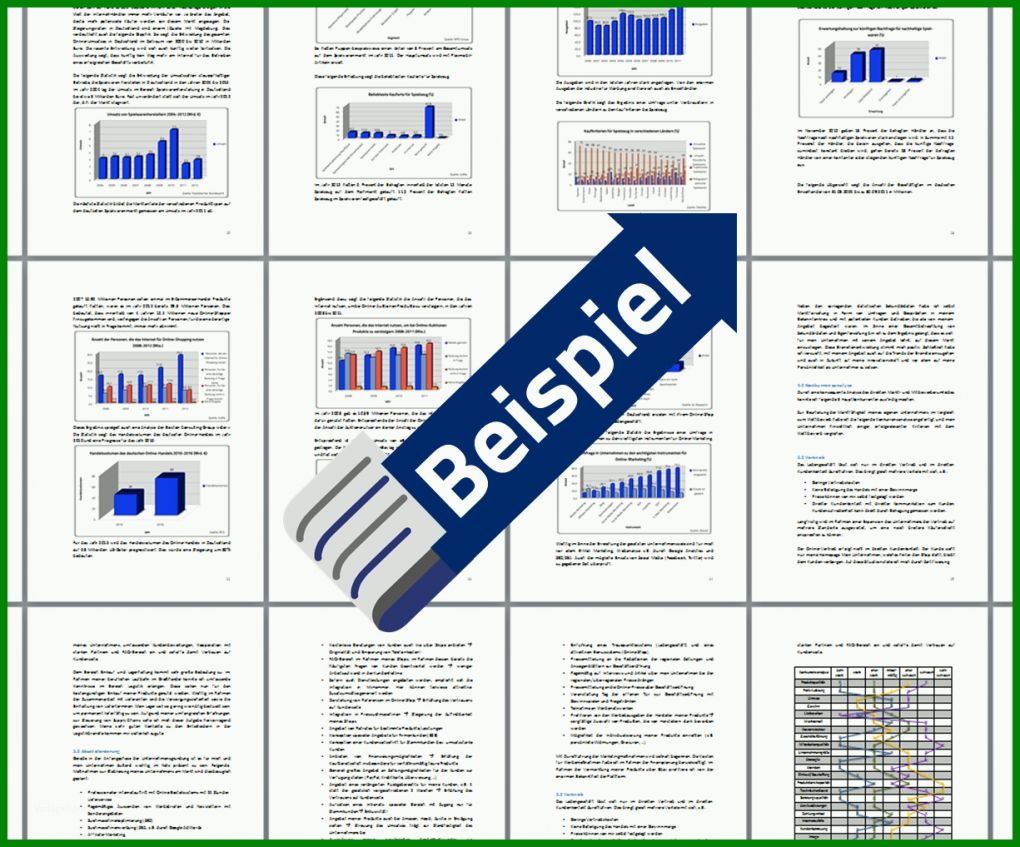 Unglaublich Vertriebskonzept Vorlage Kostenlos 1225x1017