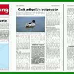 Erstaunlich Vorlage Zeitung Word 800x360