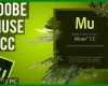 Exklusiv Adobe Muse Vorlagen Free 750x422