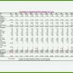 Modisch Cash Flow Excel Vorlage Kostenlos 1475x1072