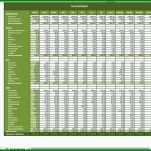 Am Beliebtesten Haushaltsplan Excel Vorlage 1000x910