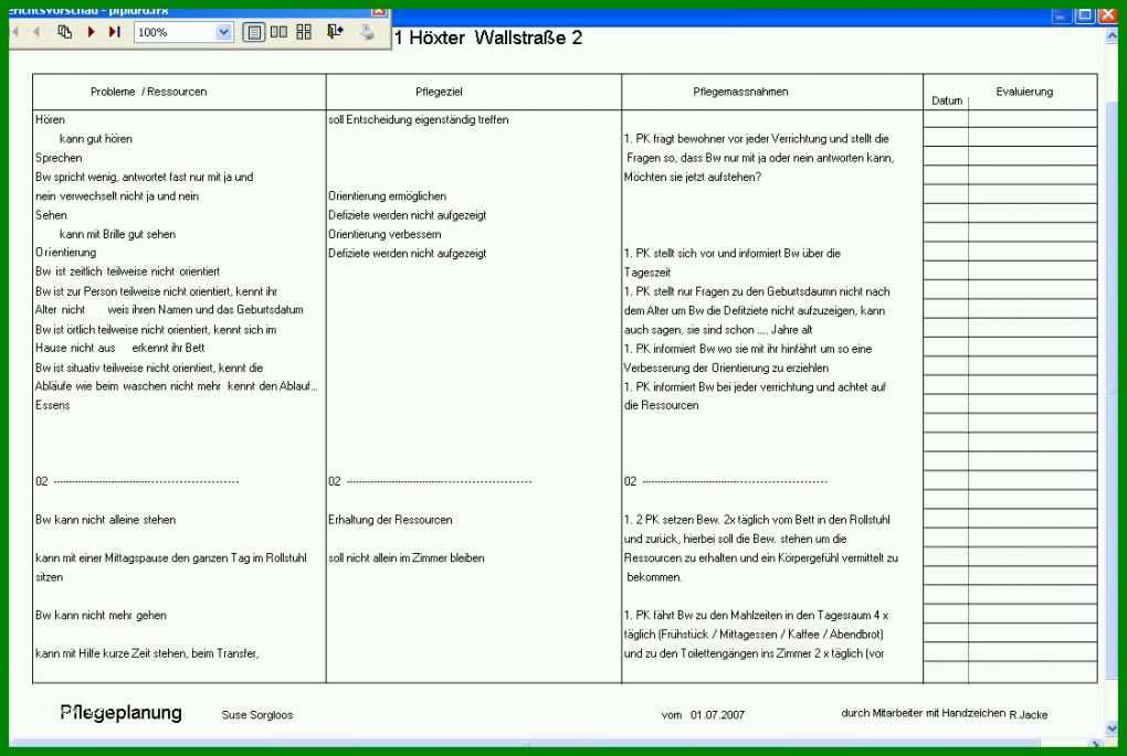 Außergewöhnlich Pflegeplanung Vorlage 1120x752