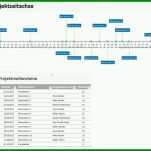 Bemerkenswert Projektplan Vorlage Word 865x768