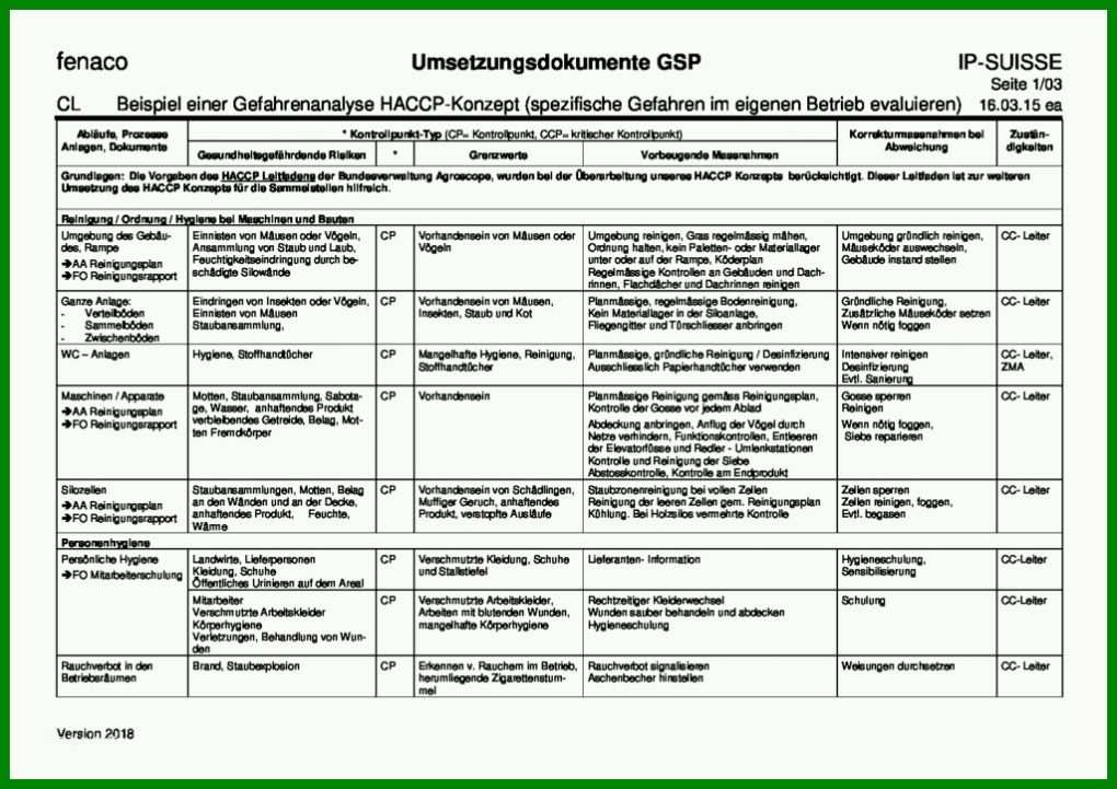 Sensationell Gefahrenanalyse Vorlage 1024x724