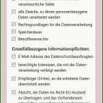 Limitierte Auflage Datenschutzerklärung Kundendaten Vorlage 1482x2828