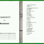 Fabelhaft Konzept Vorlage Pdf 960x540