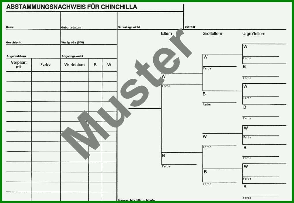 Erschwinglich Stammbaum Powerpoint Vorlage 1179x814