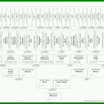 Singular Stammbaum Vorlage 6 Generationen 800x579