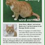 Wunderbar Vermisstenanzeige Katze Vorlage 875x1190