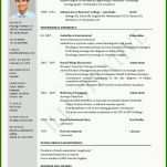 Unvergleichlich Cv Vorlage Word 950x1337