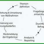 Einzahl Kundenbefragung Fragebogen Vorlage 1087x603