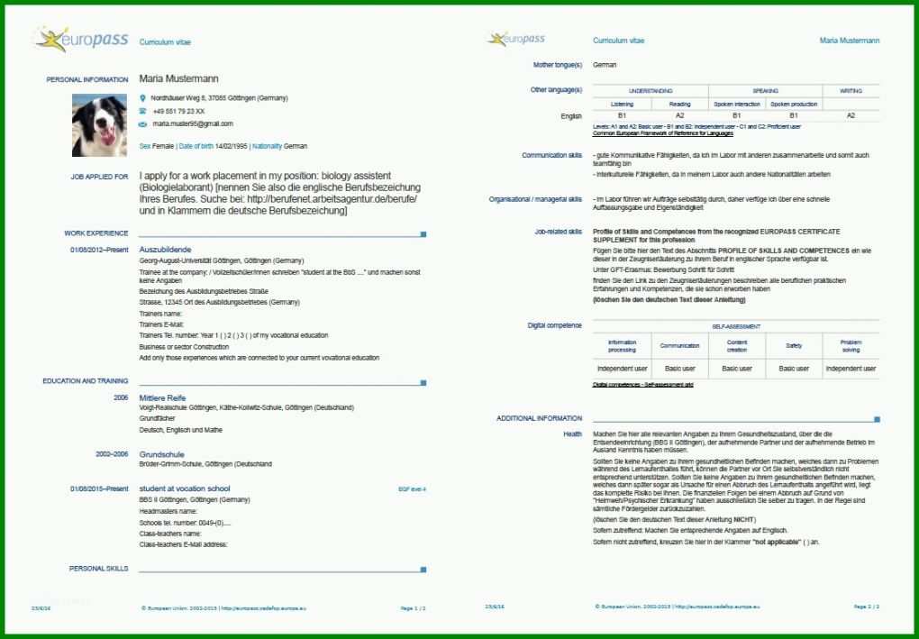 Atemberaubend Lebenslauf Vorlage Europass 1108x770