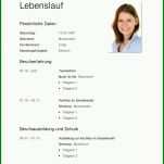 Atemberaubend Lebenslauf Vorlage Tabellarisch 800x1132