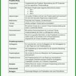 Hervorragen Projektantrag Fachinformatiker Systemintegration Vorlage 992x1402