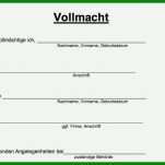 Exklusiv sorgerechtsverfügung Vorlage Pdf 701x505