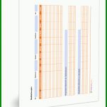 Toll Vorlage Medikationsplan 720x837