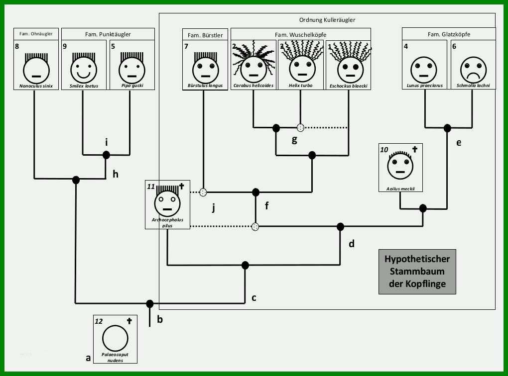 Singular Vorlage Stammbaum Powerpoint 1020x756