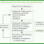 Beeindruckend Auditprogramm Vorlage Excel 1117x698