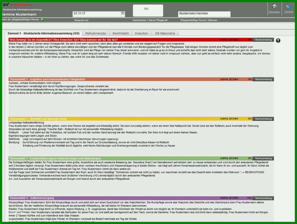 Original Sis Pflegedokumentation Vorlagen 1240x935
